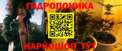 mdpv Татарск