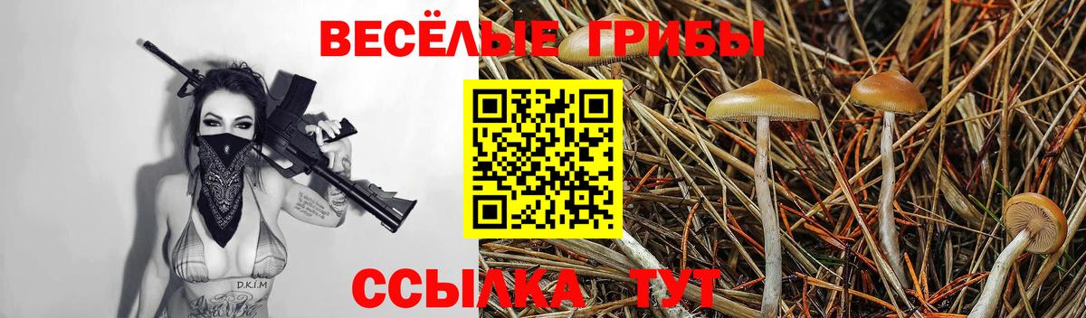 Галлюциногенные грибы ЛСД Нурлат
