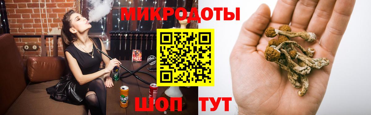 Псилоцибиновые грибы GOLDEN TEACHER  Галлюциногенные грибы Cubensis  Нурлат  Вход с VPN 